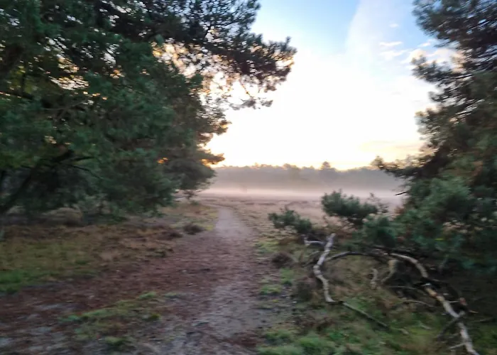 Huisje Schouwenberg