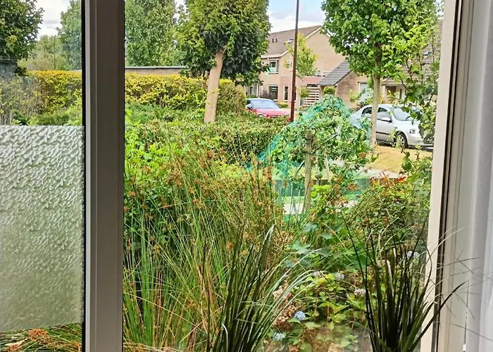 Family Home Near The City Center!